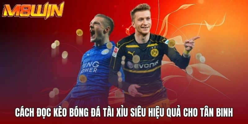 Cách đọc kèo bóng đá tài xỉu siêu hiệu quả cho tân binh