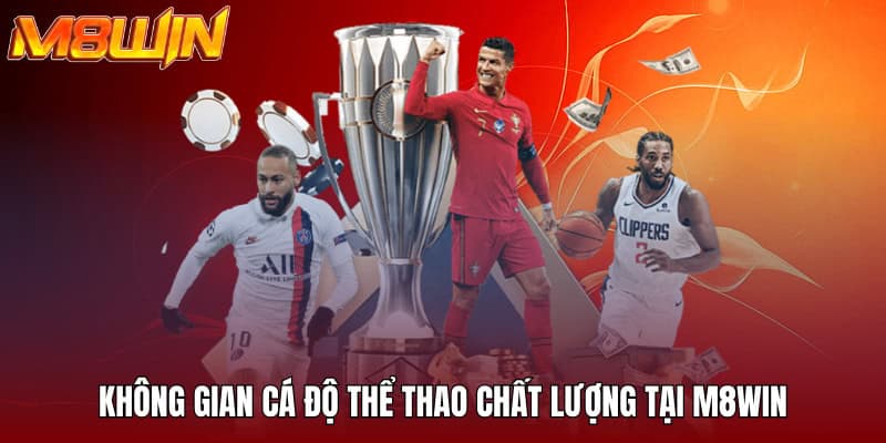 M8WIN - Không Gian Đầu Tư Săn Thưởng Siêu Xanh Chín 2025 20 Không gian cá độ thể thao chất lượng tại M8WIN