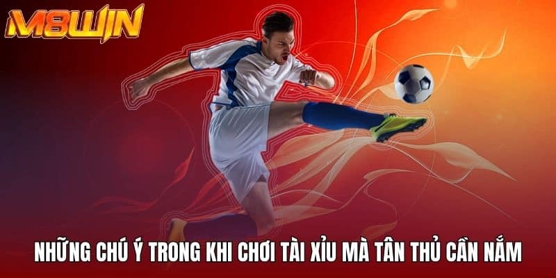 Cách Đánh Tài Xỉu 1-3-2-4 M8win - Bí Quyết Cho Người Mới 4 Những chú ý trong khi chơi tài xỉu mà tân thủ cần nắm