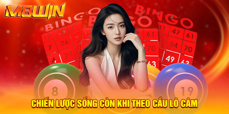 Hiểu Rõ Cách Đánh Lô Câm Và Bí Quyết Vào Tiền Hiệu Quả 3 Chiến lược sống còn khi theo cầu lô câm