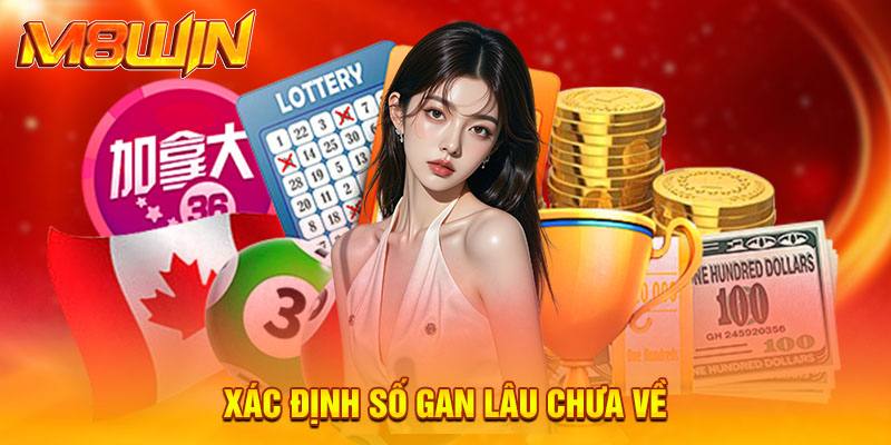 Xác định số gan lâu chưa về