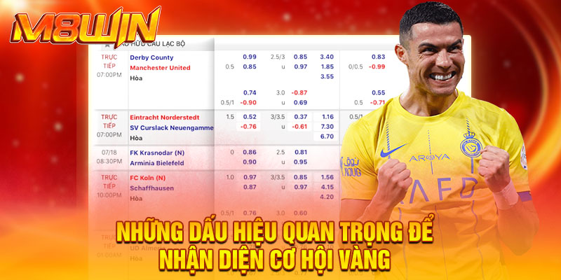 Những dấu hiệu quan trọng để nhận diện cơ hội vàng