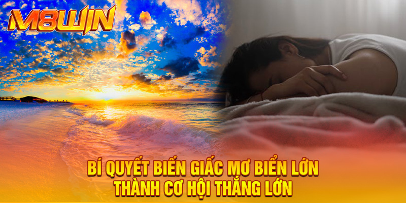 Bí quyết biến giấc mơ biển lớn thành cơ hội thắng lớn