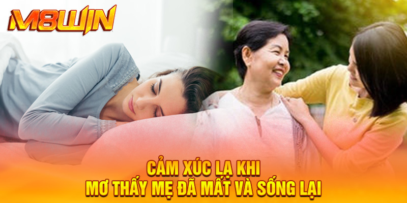 Cảm xúc lạ khi mơ thấy mẹ đã mất và sống lại