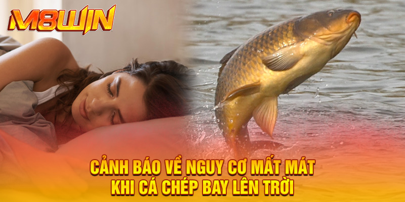 Cảnh báo về nguy cơ mất mát khi cá chép bay lên trời
