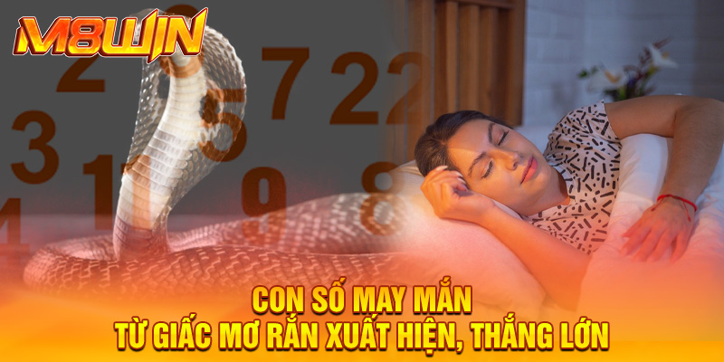 Mơ Thấy Rắn Bò Vào Nhà: Giải Mã Chi Tiết Nhất 2025 3 Con số may mắn từ giấc mơ rắn xuất hiện, thắng lớn