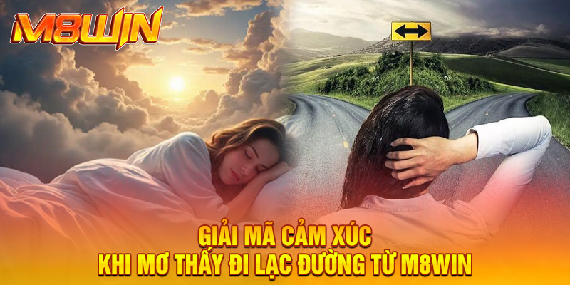 Giải mã cảm xúc khi mơ thấy đi lạc đường từ M8win