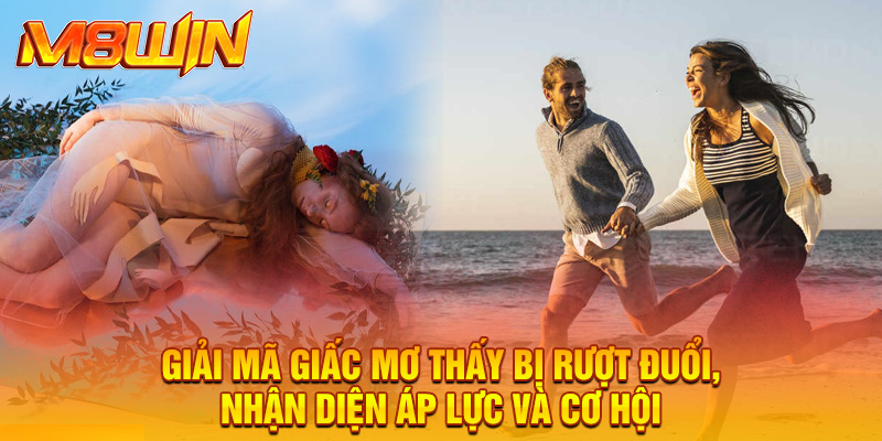 Giải mã giấc mơ thấy bị rượt đuổi, nhận diện áp lực và cơ hội