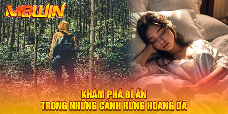 Khám phá bí ẩn trong những cánh rừng hoang dã