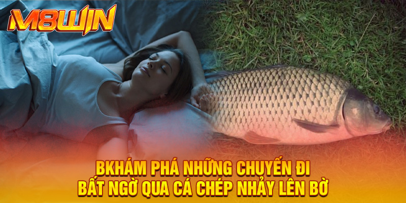 Khám phá những chuyến đi bất ngờ qua cá chép nhảy lên bờ