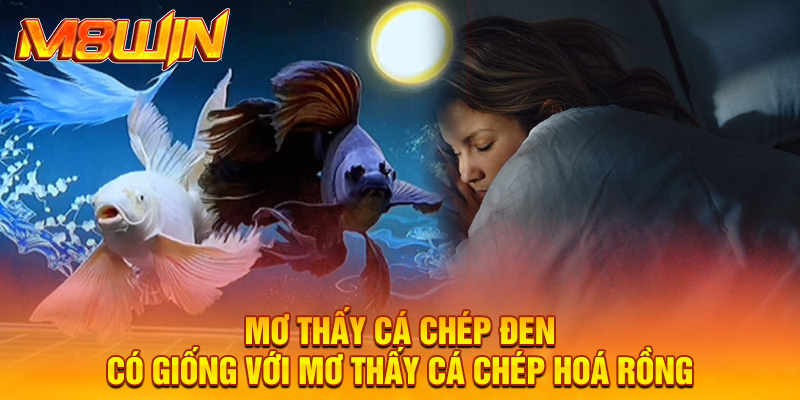 Mơ Thấy Cá Chép Hóa Rồng -Vận May Bùng Nổ, Rồng Vàng Đổi Vận