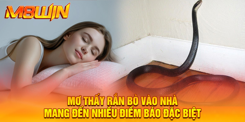 Mơ Thấy Rắn Bò Vào Nhà: Giải Mã Chi Tiết Nhất 2025 1 Mơ thấy rắn bò vào nhà mang đến nhiều điềm báo đặc biệt