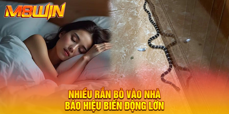 Mơ Thấy Rắn Bò Vào Nhà: Giải Mã Chi Tiết Nhất 2025 5 Mơ Thấy Rắn Bò Vào Nhà: Giải Mã Chi Tiết Nhất 2025