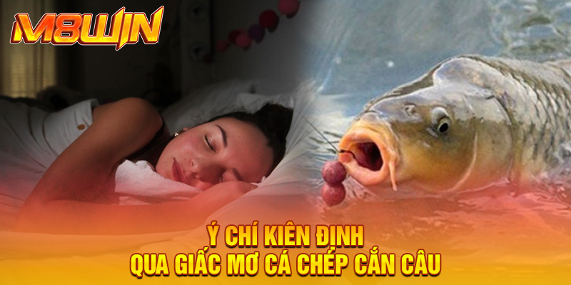 Ý chí kiên định qua giấc mơ cá chép cắn câu